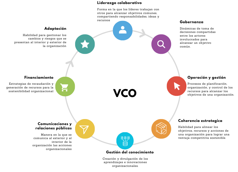 VCO de Nacional Monte de Piedad: dimensiones de capacidades organizacionales